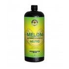 Easytech Shampoo Automotivo Melon Super Concentrado 1:400 (1,5 Litro)